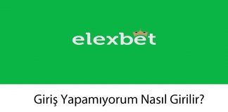 elexbetgirişyapamıyorum