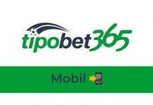 Tipobet Mobil