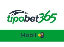 Tipobet Mobil