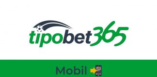Tipobet Mobil