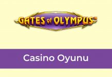 Gates of Olympus Casino Oyunu